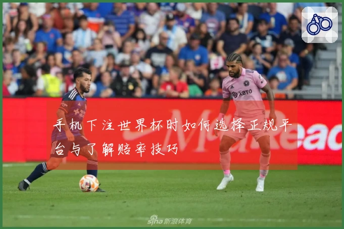 手机下注世界杯时如何选择正规平台与了解赔率技巧