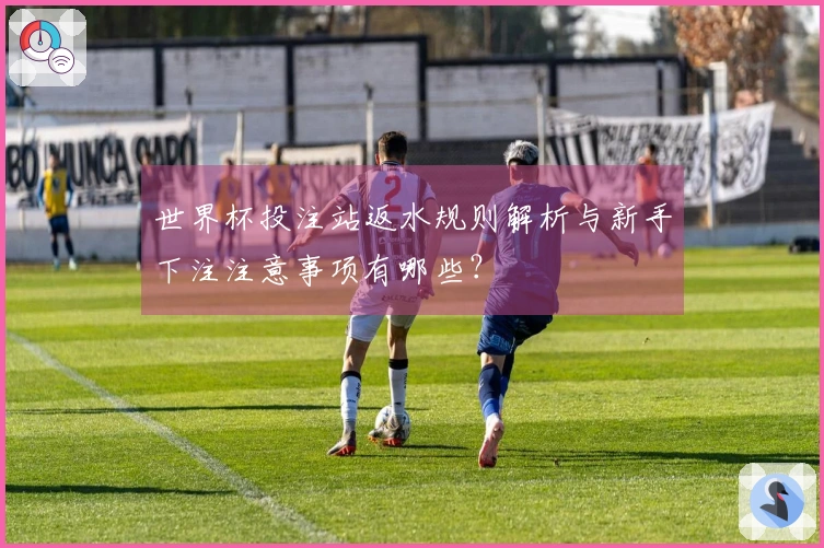 世界杯投注站返水规则解析与新手下注注意事项有哪些？