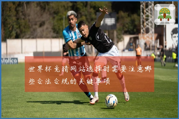 世界杯竞猜网站选择时需要注意哪些合法合规的关键事项